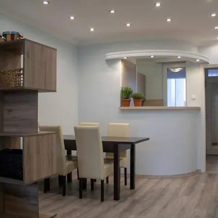 Beautiful Air-conditioned In The Centre Debrecen